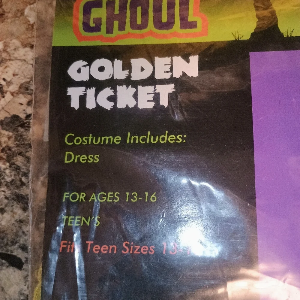 Golden Ticket Costume for Kids - Picture 3 of 4